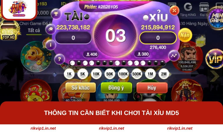 Thông tin cần biết khi chơi tài xỉu MD5